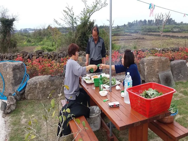 Graeyes Pension Jeju